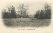 77 Seine Et Marne CPA FRANCE 77 " Bourron, La pelouse du château"