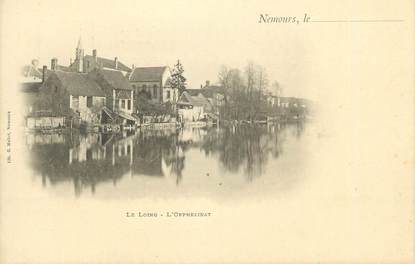 CPA FRANCE 77 " Nemours, Le Loing, l'Horphelinat"