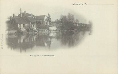 CPA FRANCE 77 " Nemours, Le Loing, L'Horphelinat"