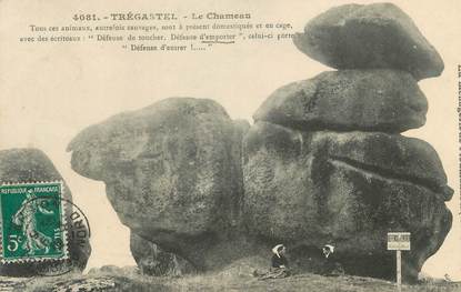 CPA FRANCE 22 " Trégastel, Le Chameau"