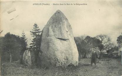 CPA FRANCE 85 " Avrillé, Menhir dans le bois de la Guignardière"