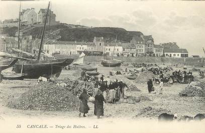 CPA FRANCE 35 " Cancale, Triage des Huîtres'