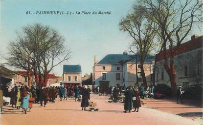 CPA FRANCE 44 " Paimboeuf, La Place du Marché"