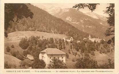 CPA FRANCE 89 " St Florentin, Abbaye de Tamié, La Colonie des Florimontains, Le Col de Tamié"