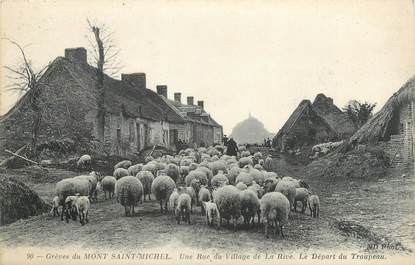 CPA FRANCE 50 " Le Mont St Michel, Une rue du village, le départ du troupeau " / MOUTONS