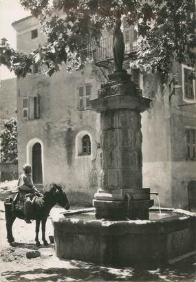CPSM FRANCE 20" Corse, Omessa, La fontaine du village"