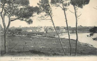 CPA FRANCE 56 "Ile aux Moines, Port Drenn"