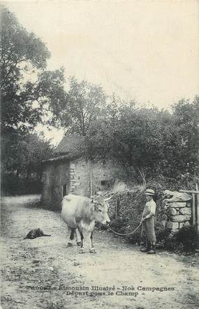 / CPA FRANCE 87 "Limousin illustré, nos campagnes" / VACHE