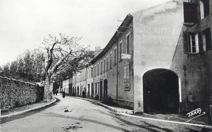 CPSM FRANCE 83 " Collobrières, Avenue Jean Aicaud"