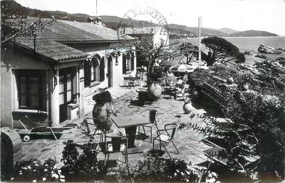 CPSM FRANCE 83 "St Clair - Le Lavandou, Auberge de la Falaise"