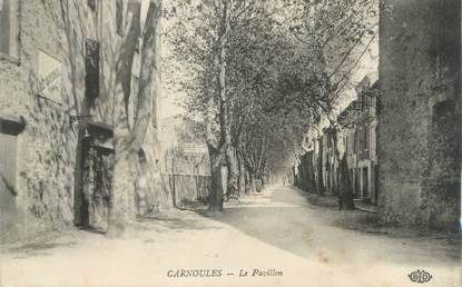 CPA FRANCE 83 " Carnoules, Le Pavillon"