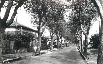 CPSM FRANCE 83 " Cuers, Avenue de la Gare"