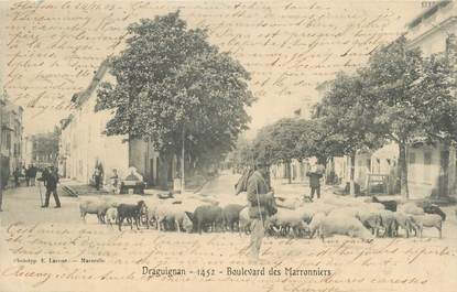 CPA FRANCE 83 " Draguignan, Le Boulevard des Marronniers"