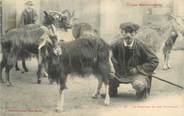 31 Haute Garonne / CPA FRANCE 31 "Le chevrier et son troupeau" / CHEVRE