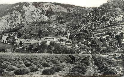 CPSM FRANCE 83 " La Roque Esclapon, Vue générale"