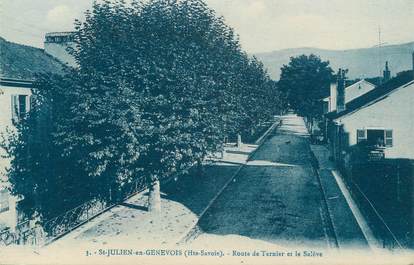 CPA FRANCE 74 "St Julien en Genevois, Route de Ternier et le Salève"