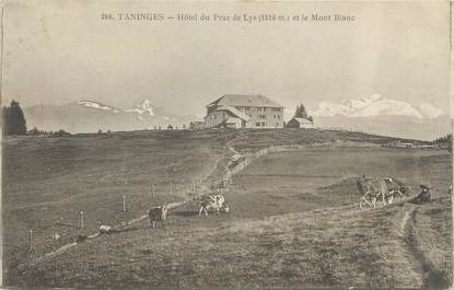 CPA FRANCE 74 " Taninges, Hôtel du Praz de Lys et le Mont Blanc"