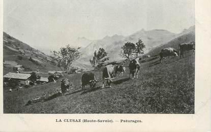 CPA FRANCE 74 " La Clusaz, Les pâturages"