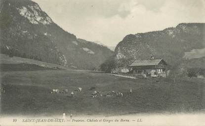 CPA FRANCE 74 " St Jean de Sixt , Châlets et Gorgees du Borne"