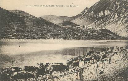 CPA FRANCE 74 " Vallée du Borne, Lac de Lessy"