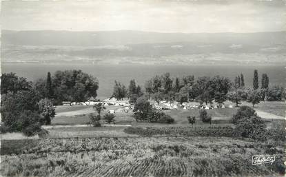 CPSM FRANCE 74 " Sciez, Les Rives du Lac Léman"