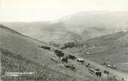 73 Savoie CPSM FRANCE 73 " Hauteluce, Les crètes"