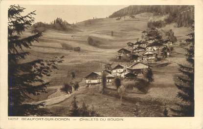 CPA FRANCE 73 " Beaufort sur Doron, Chalets du Boudin"