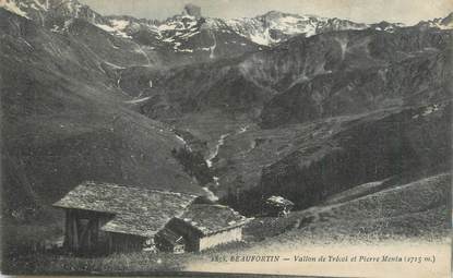 CPA FRANCE 73 " Beaufortin, Vallon de Trécol et Pierre Menta"