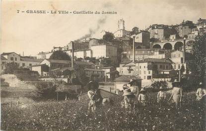 CPA FRANCE 06 " Grasse, La cueillette du Jasmin"