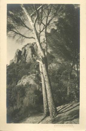 CARTE PHOTO " PHOTOGRAPHE : ESTEHELIN ST RAPHAEL (Cachet en relief) / A SITUER : 04, 06, 83"