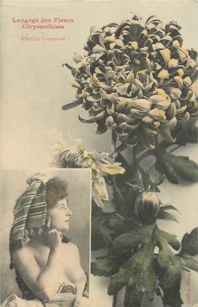 CPA BERGERET " Le langage des fleurs : Le Chrysanthème"