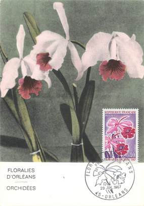 CPSM CARTE MAXIMUM " Floralies d'Orléans, Orchidées"