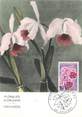 Theme CPSM CARTE MAXIMUM " Floralies d'Orléans, Orchidées"
