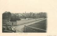 77 Seine Et Marne CPA FRANCE 77 " Tournan, panorama"