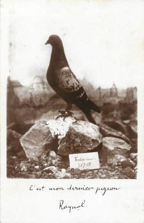 CPA MILITAIRE "Le pigeon"