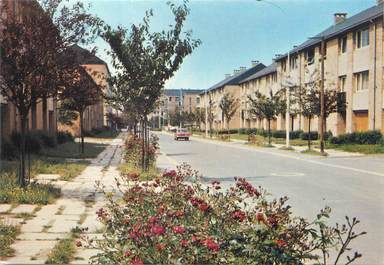 CPSM FRANCE 59 " Douchy-les-Mines, Avenue Anatol France "