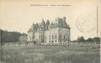 CPA FRANCE 85 "Grosbreuil, chateau de la Benatonnière"