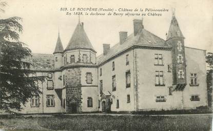 CPA FRANCE 85 "LOa Boupère, le chateau de la Pélissonnière"