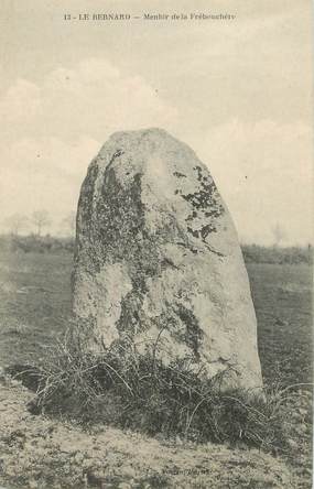 CPA FRANCE 85 "Le Bernard, le menhir de la Frébouchère"