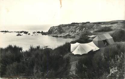 CPSM FRANCE 85 "La Sauzaie près de Brétignolles sur Mer"