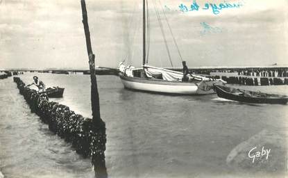 CPSM FRANCE 85 "La Faute sur Mer, les bouchots"