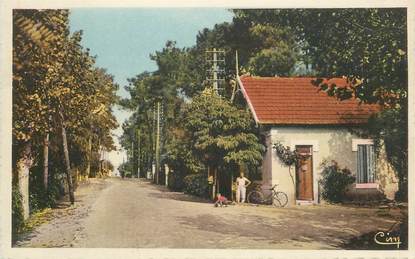 CPA FRANCE 17 "Ronce les Bains, avenue de la Mer"