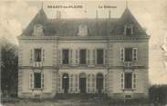 21 Cote D'or CPA FRANCE 21 "Brazey en Plaine, le chateau"