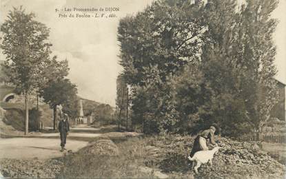 CPA FRANCE 21 "Les Promenades de Dijon, près du Foulon"