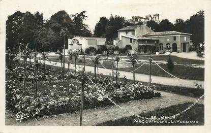 CPSM FRANCE 32 "Auch, Parc Ortholan, la roseraie"