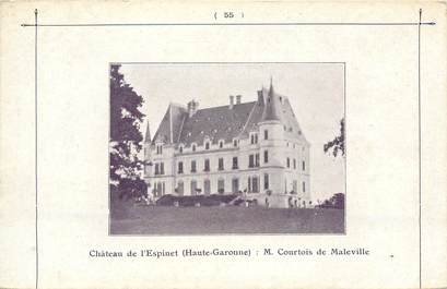 CPA FRANCE 31 "Chateau de l'Espinet"