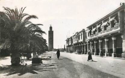 CPSM MAROC "Marrakech, avenue de la Koutoubia"
