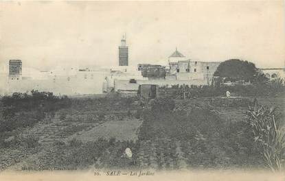 CPA MAROC "Salé, les jardins"