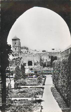 CPSM MAROC "Rabat, jardin des Oudaïas"