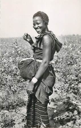 CPSM BURKINA FASO "La Récolte du coton" FEMME